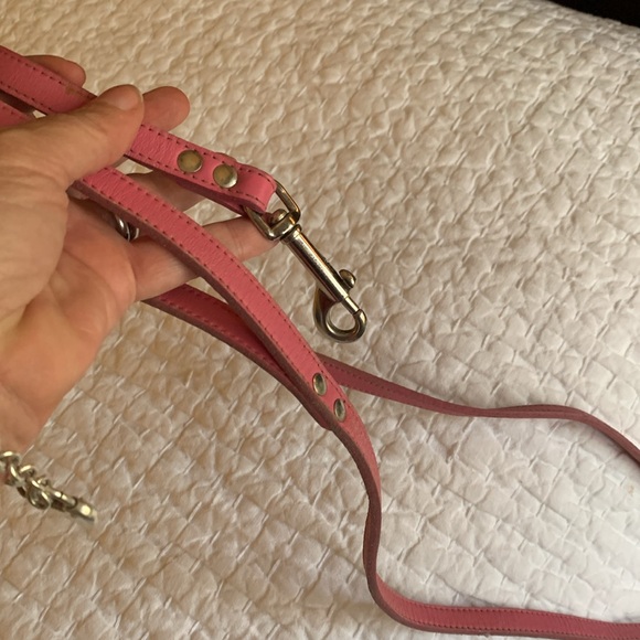 Petsmart leather dog leash - Picture 3 of 3
